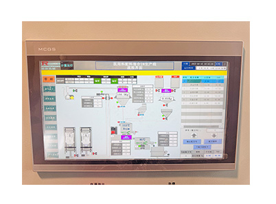 Case Study of Bag Conveyor System